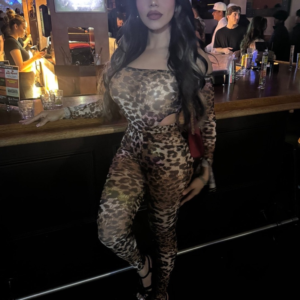 Fashion Nova Leopard Print Jumpsuit - Picture 4 of 4